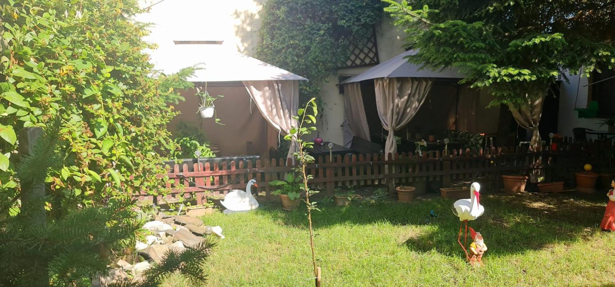 Pensiunea Red Rose Apartments Timisoara Luaran gambar