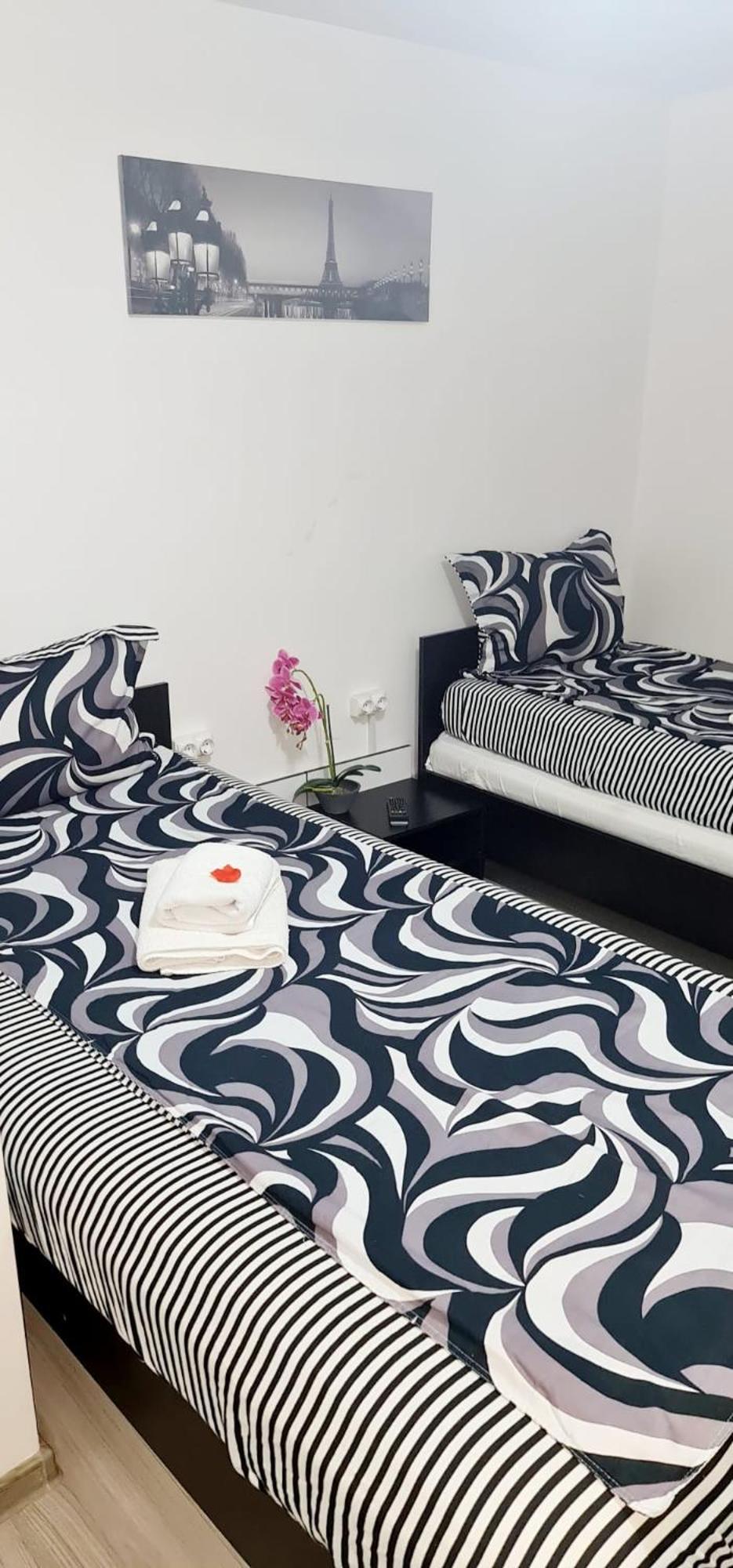 Pensiunea Red Rose Apartments Timisoara Luaran gambar