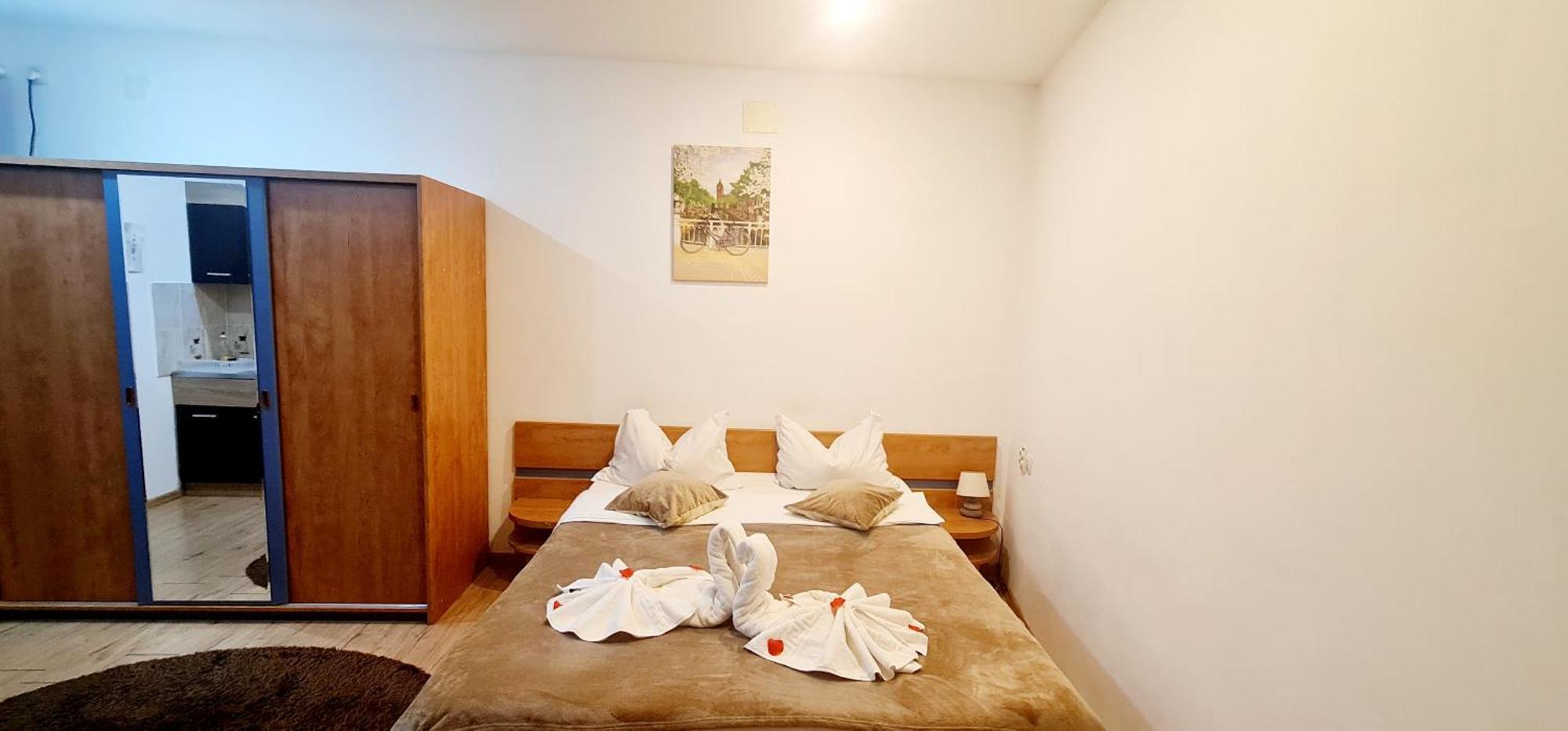 Pensiunea Red Rose Apartments Timisoara Bilik gambar