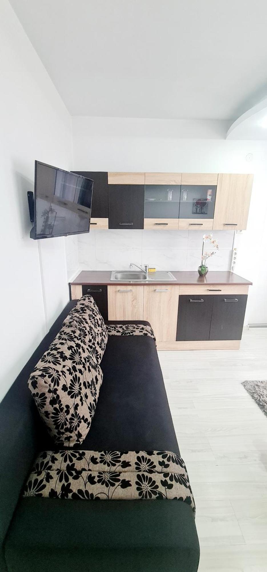 Pensiunea Red Rose Apartments Timisoara Luaran gambar