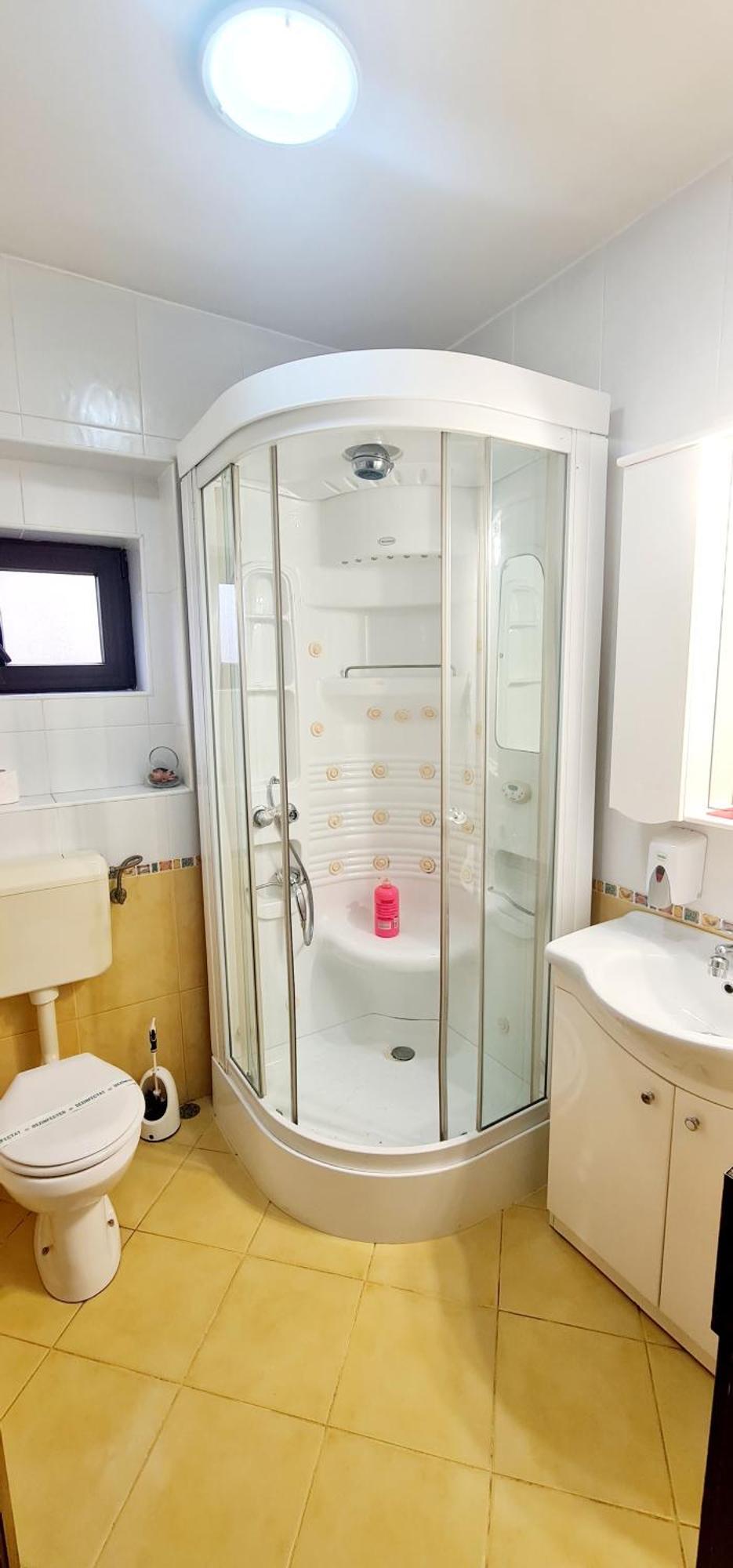 Pensiunea Red Rose Apartments Timisoara Luaran gambar