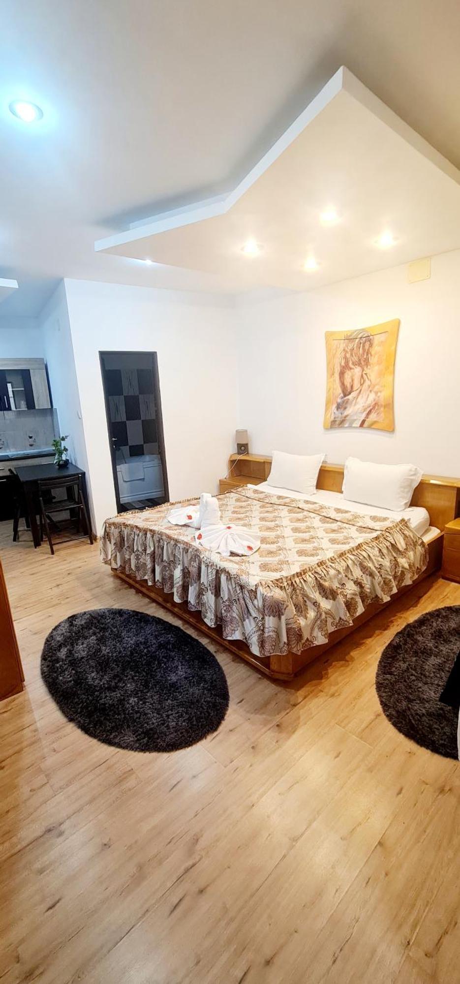Pensiunea Red Rose Apartments Timisoara Luaran gambar