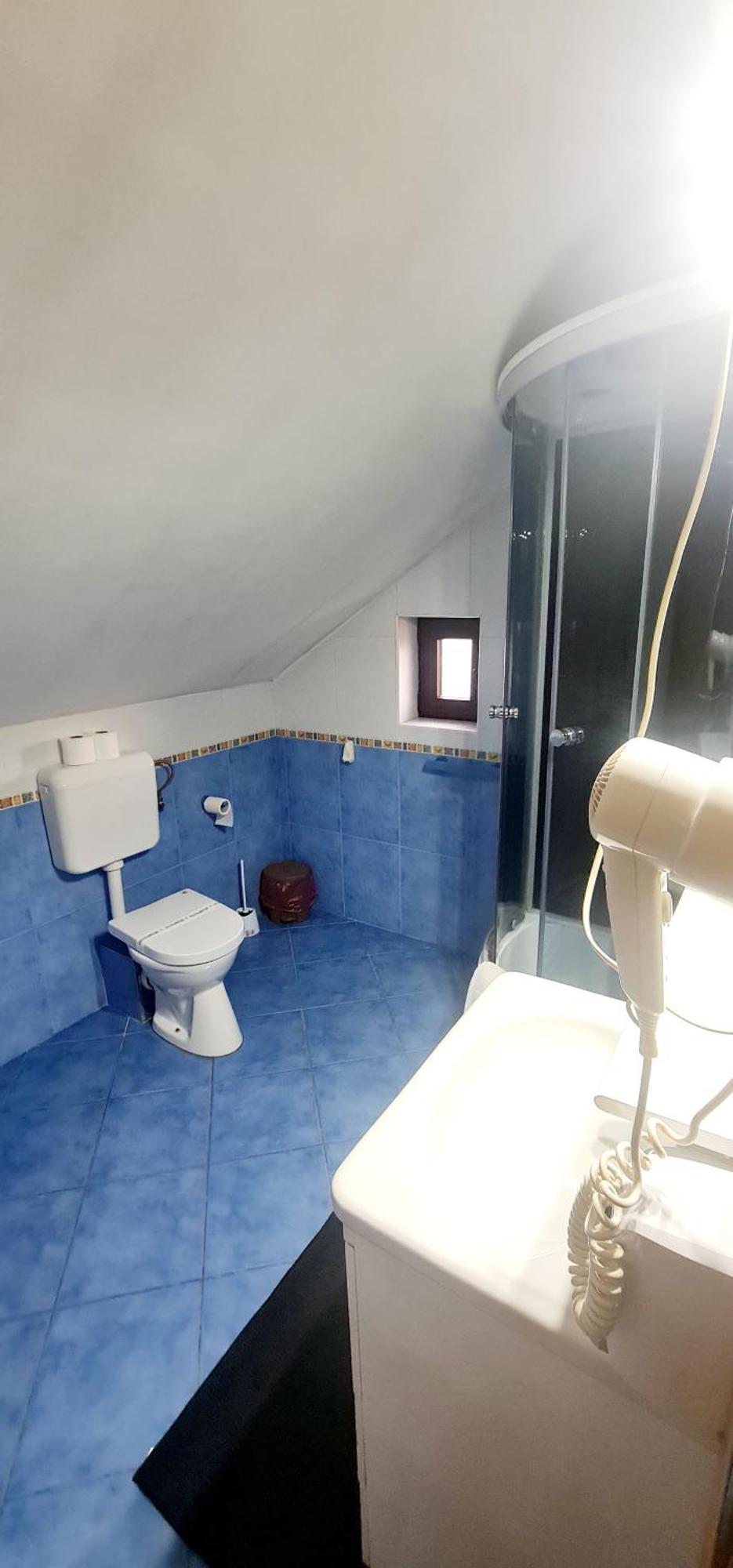 Pensiunea Red Rose Apartments Timisoara Luaran gambar